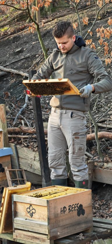 Ein Mann steht an einem Tisch und arbeitet mit Bienenstöcken in einer natürlichen Umgebung.