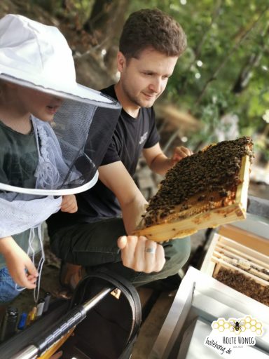 Ein Mann und ein Kind betrachten eine Wabe mit Bienen im Freien.